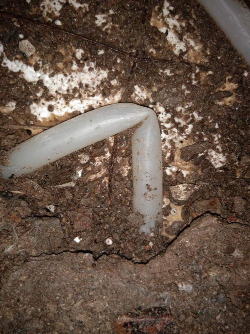 随县堵点精准查找